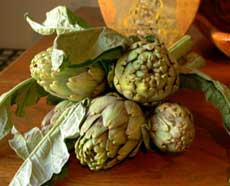 Use Globe and Poivrade artichokes if they are available