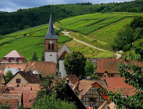 Alsace Village Vineyard French Wine Alsace Village and Vineyard