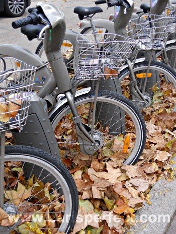 Autumn Bike Ride in Paris