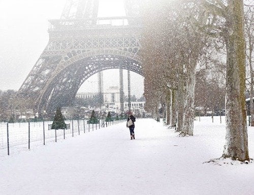 Paris Snow Champ de Mars Garden