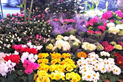 President Wilson Market Paris Flower Display