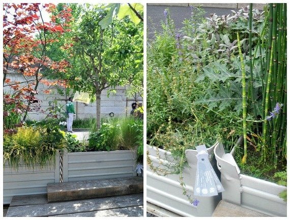 Les Berges de la Seine Paris Plants