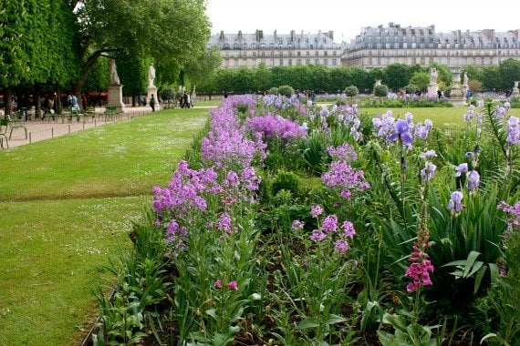 The Idyllic Jardin des Tuileries in Paris