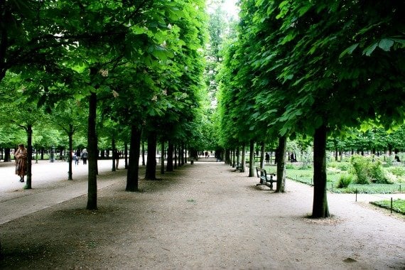 Jardin desTuileries Relax Run Paris Spring