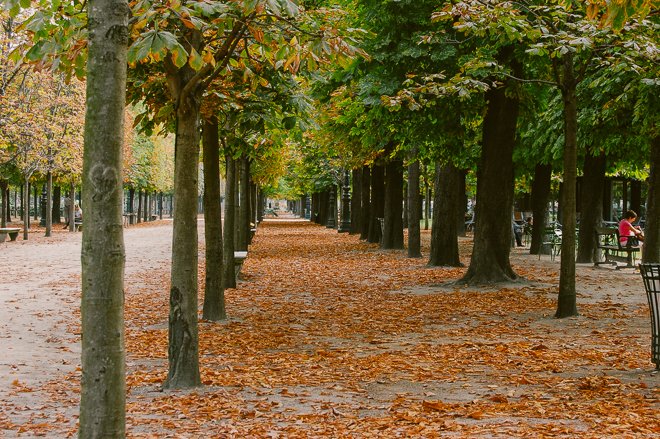 Autumn Colors in Paris