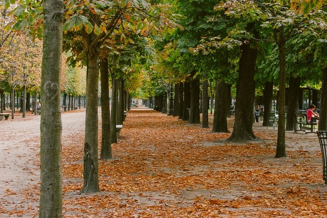 Autumn Colors in Paris