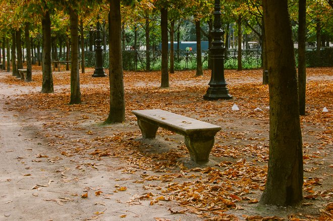 Autumn Things to Do in Paris