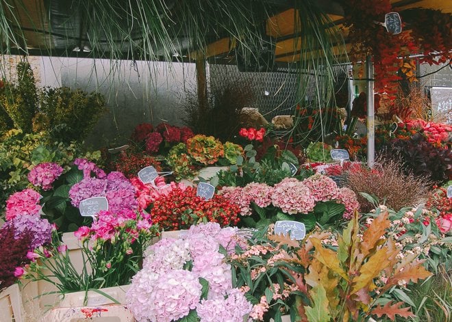 Marché Notre Dame of Versailles market produce fresh Paris flowers