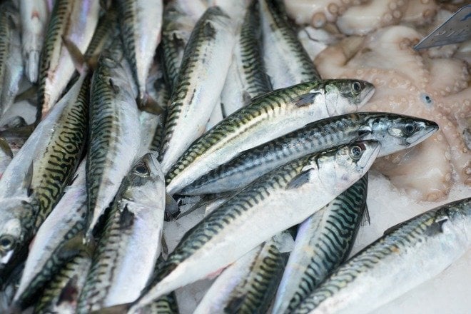 Sardines for sale at Paris Market