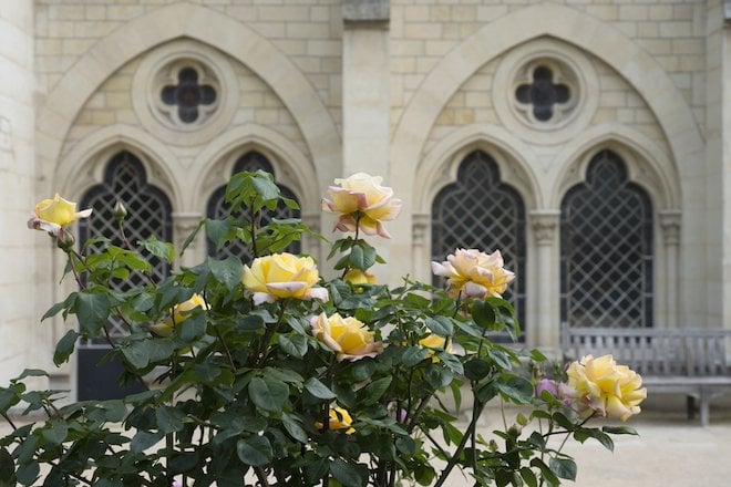 The rose garden in bloom in early summer, Rodin Museum, Paris, France