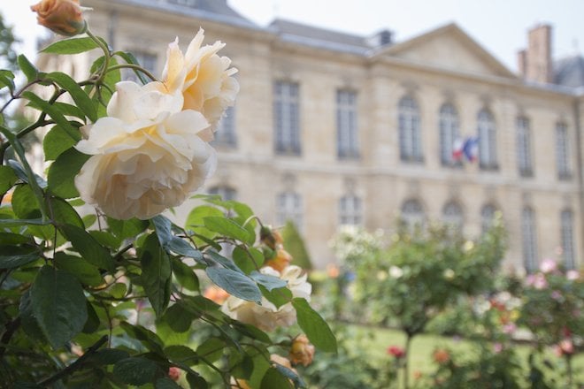 The rose garden in bloom in early summer, Rodin Museum, Paris, France