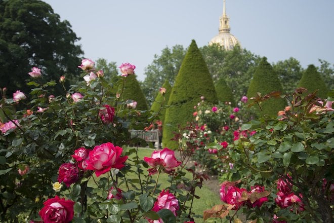 The rose garden in bloom in early summer, Rodin Museum, Paris, France