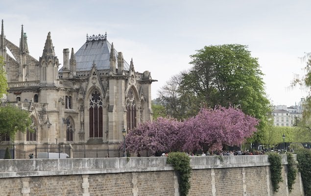 Spring in Paris by Georgianna Lane