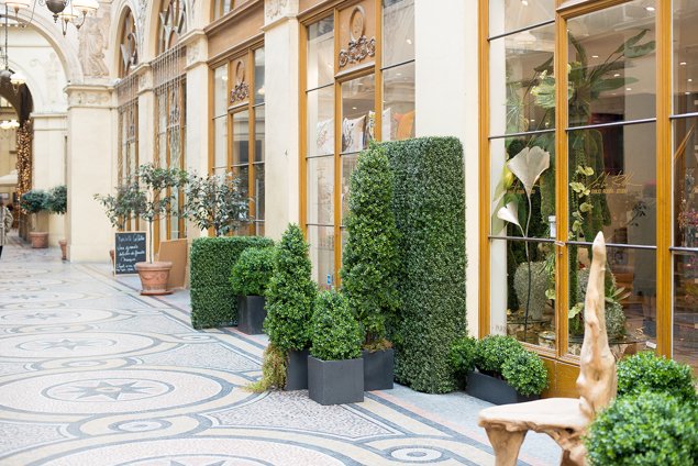 Discovering the Galerie Vivienne - by Brandie Raasch for Paris Perfect