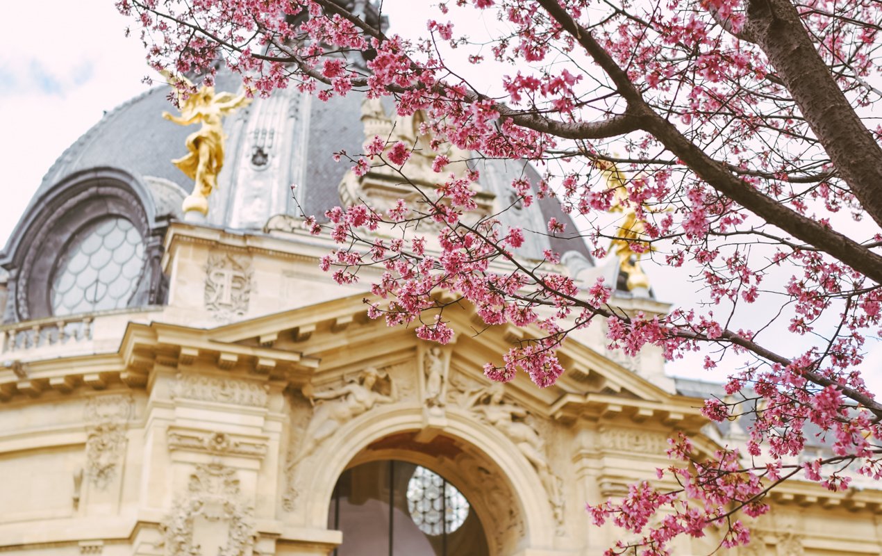 Inside the Petit Palais - Paris Perfect