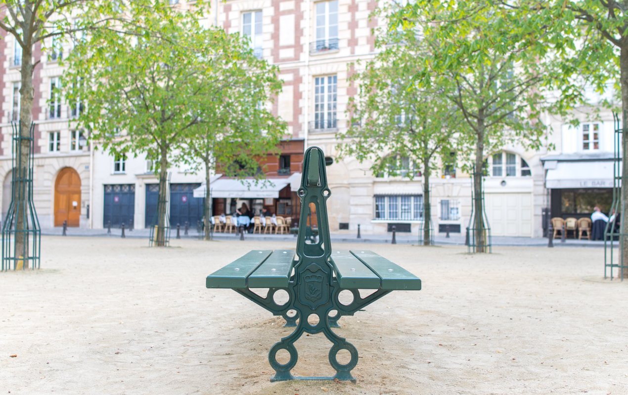 The History of the Flâneur - Pont Neuf