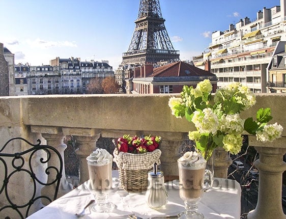 Eiffel Tower Apartment Paris