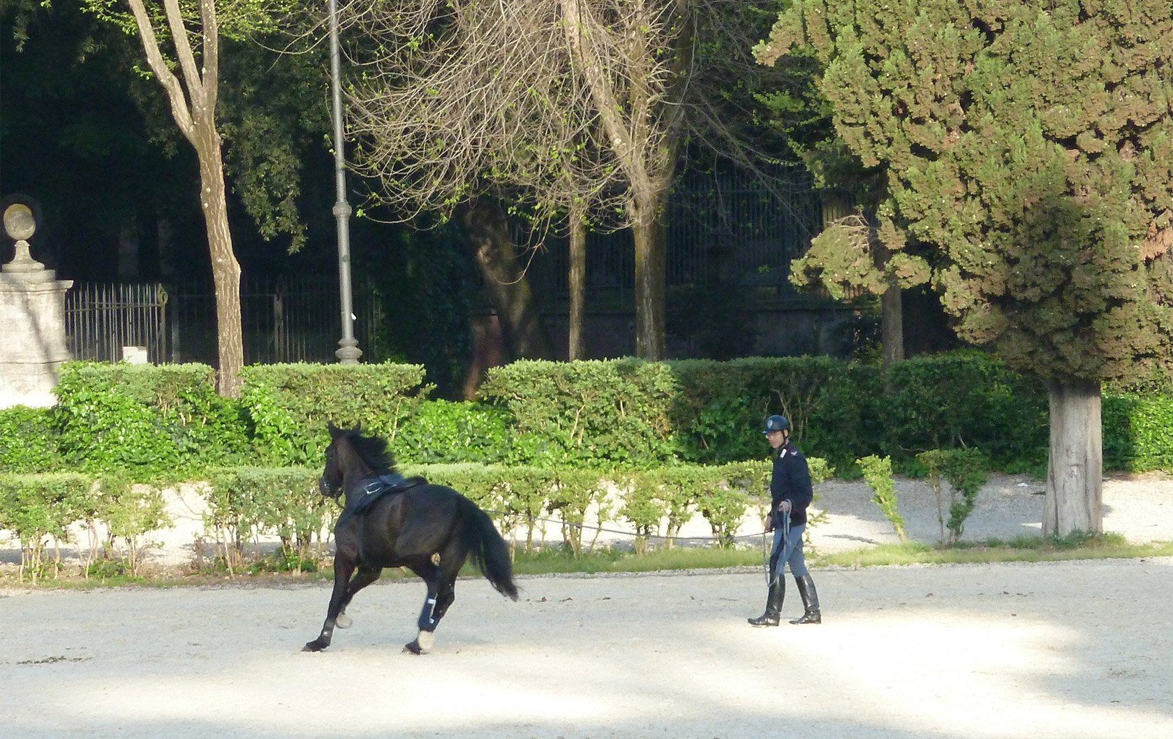 italy-police-horse