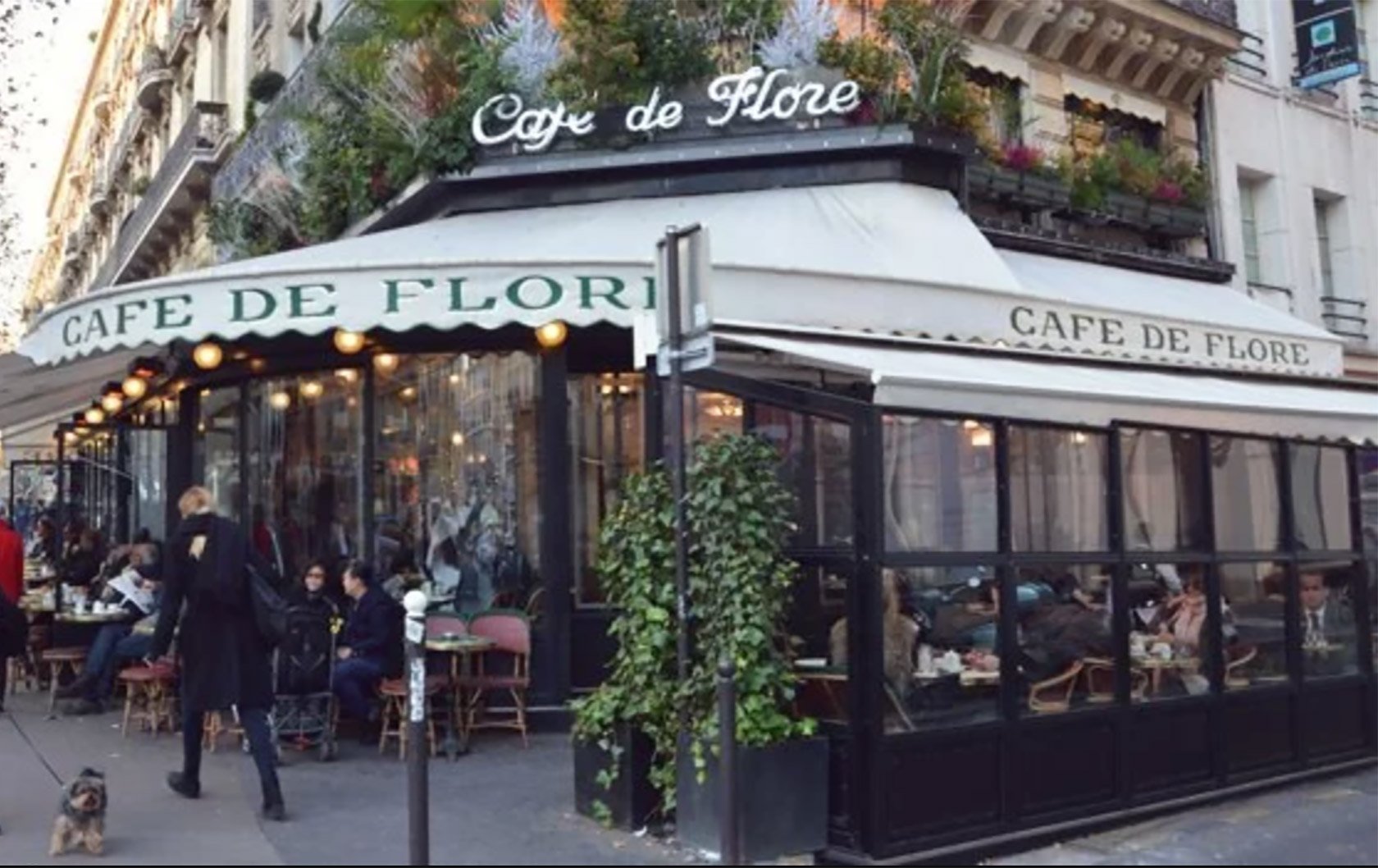 cafe-flore