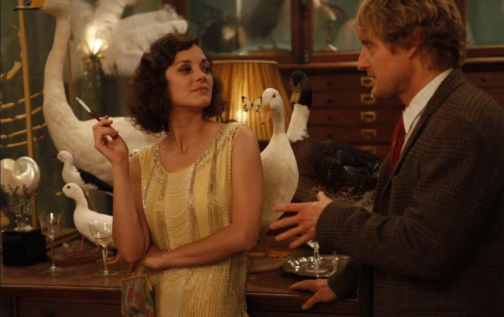 midnight-in-paris-deyrolle-scene