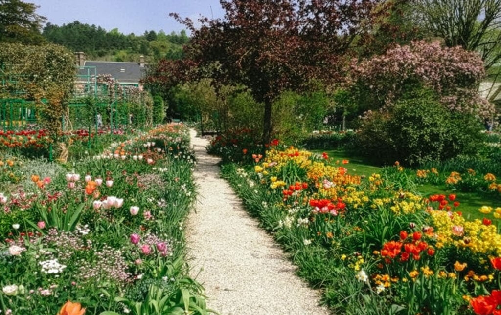 Why You Simply Must See the Tulip Season at Giverny - A Floral Wonderland!
