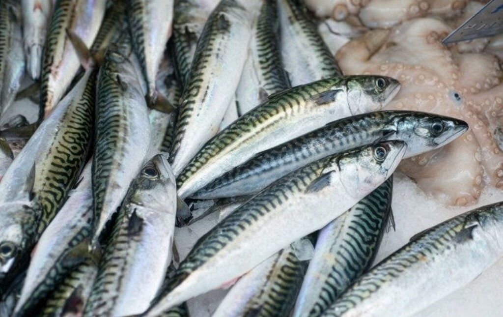 Don't Be the "Poisson d’Avril" this April Fools' Day!