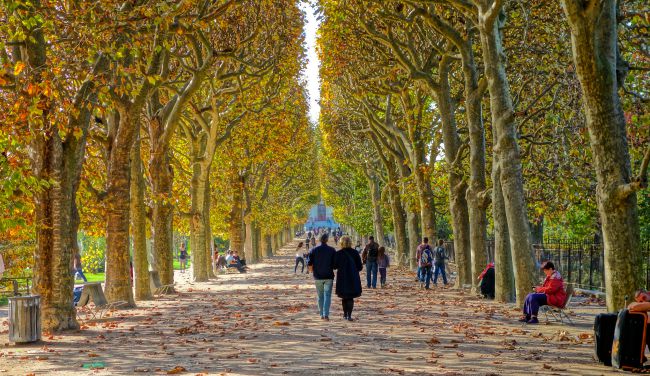 Falling for the City of Light: 5 Reasons to Visit Paris in Fall