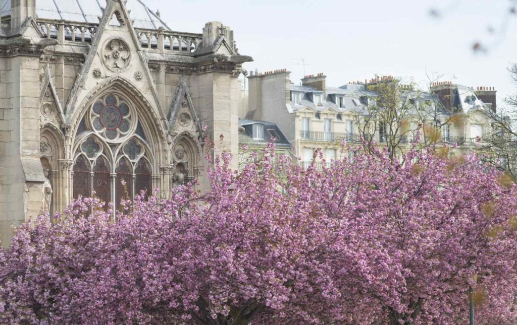 Springtime in Paris by Paris Perfect Notre Dame in Spring