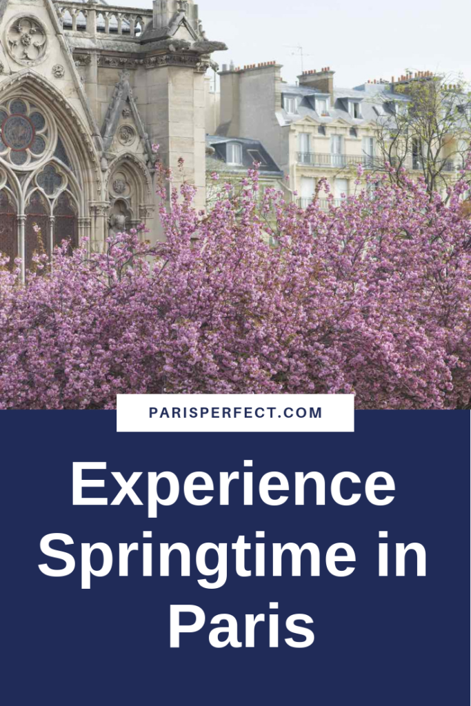 Springtime in Paris by Paris Perfect 