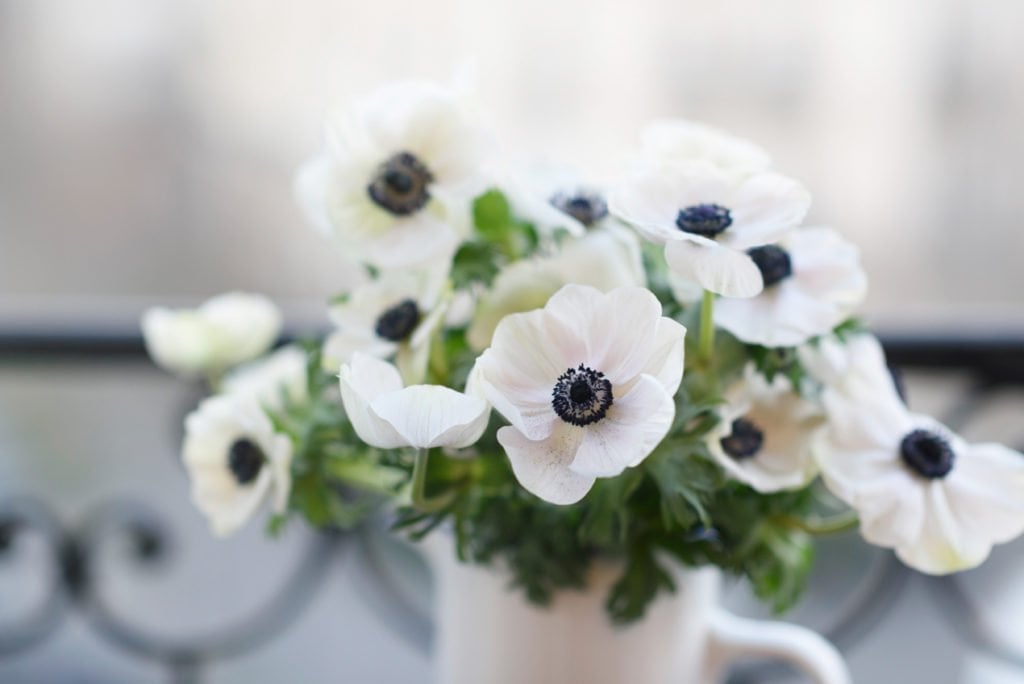 Mid-Winter Flowers to Buy in Paris | Georgianna Lane for Paris Perfect