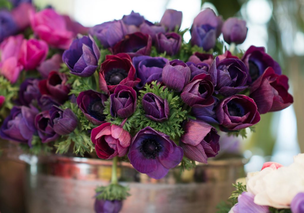 Mid-Winter Flowers to Buy in Paris | Georgianna Lane for Paris Perfect