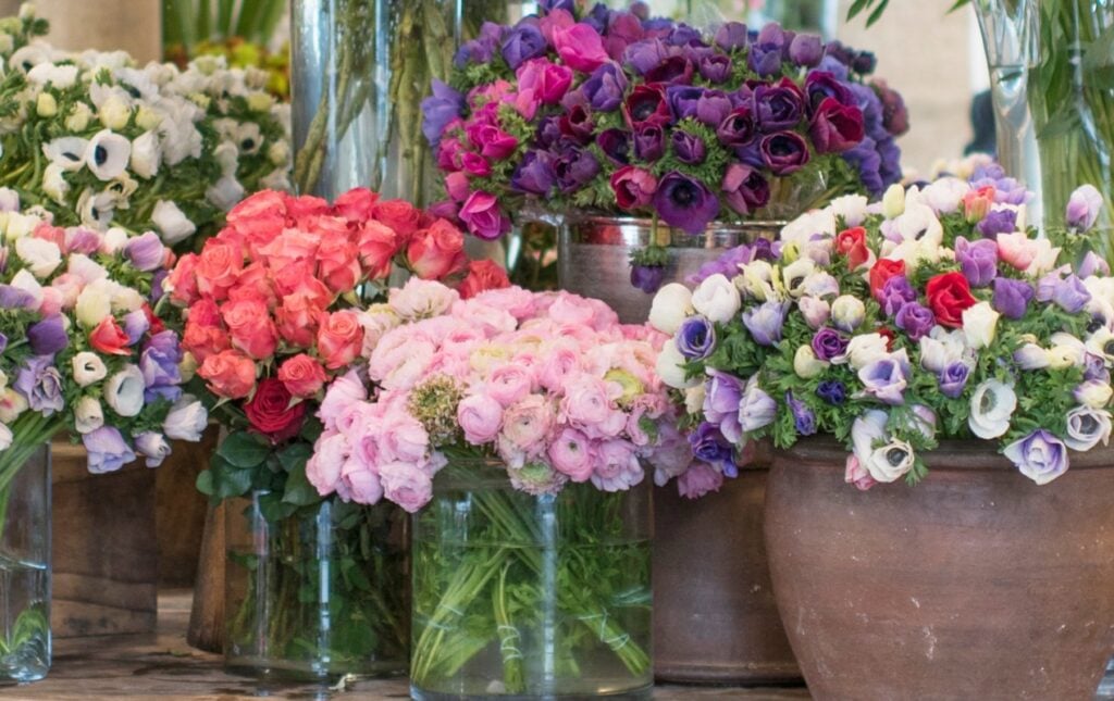 Mid-Winter Flowers to Buy in Paris | Georgianna Lane for Paris Perfect