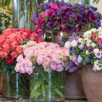 Mid-Winter Flowers to Buy in Paris | Georgianna Lane for Paris Perfect