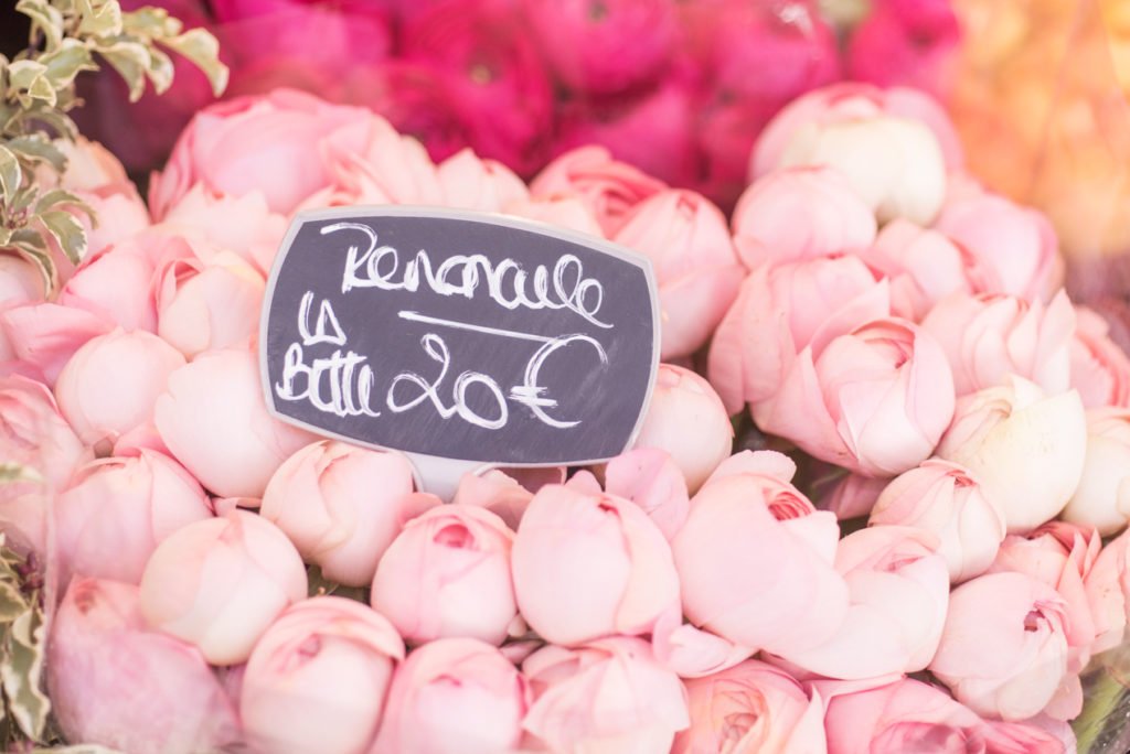 Mid-Winter Flowers to Buy in Paris | Georgianna Lane for Paris Perfect