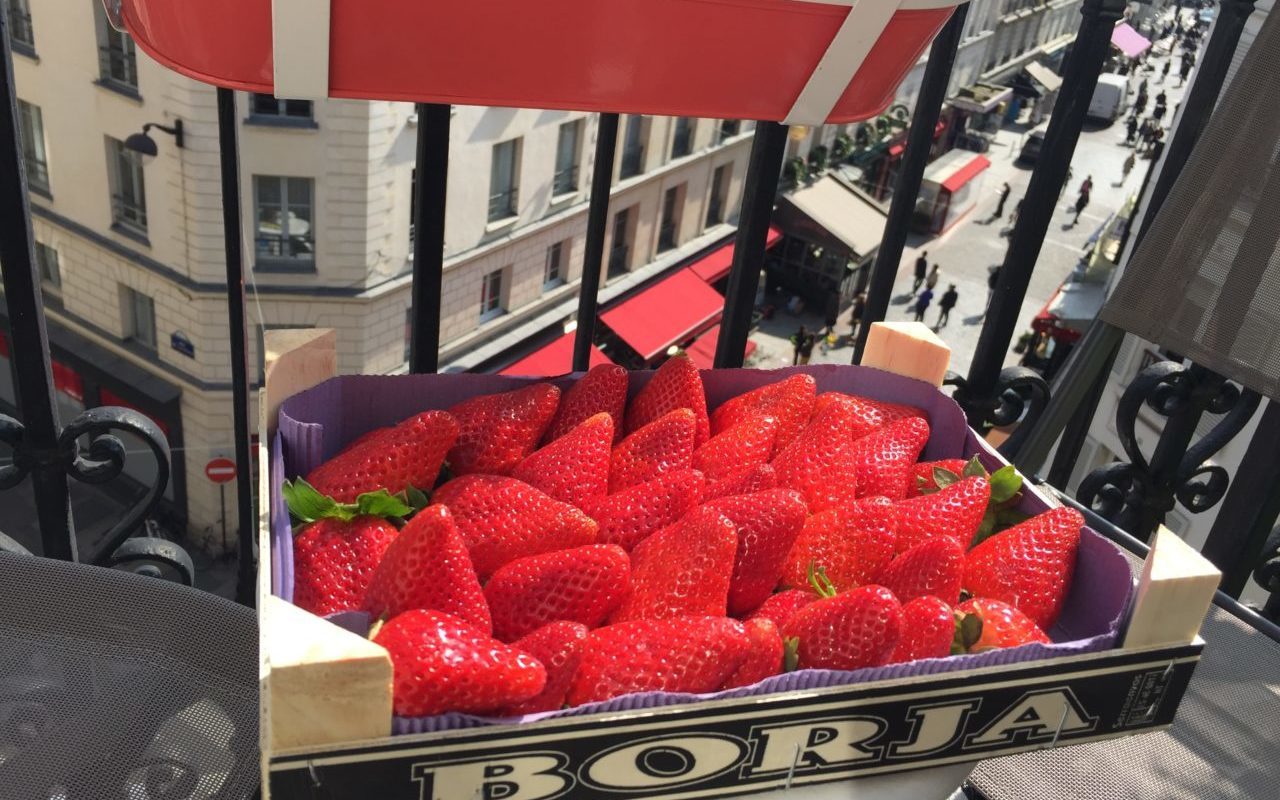 best strawberries in France