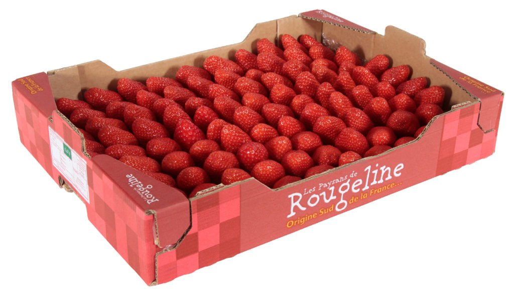 best strawberries in France