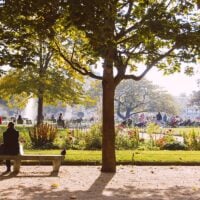 Tuileries Gardens Fall