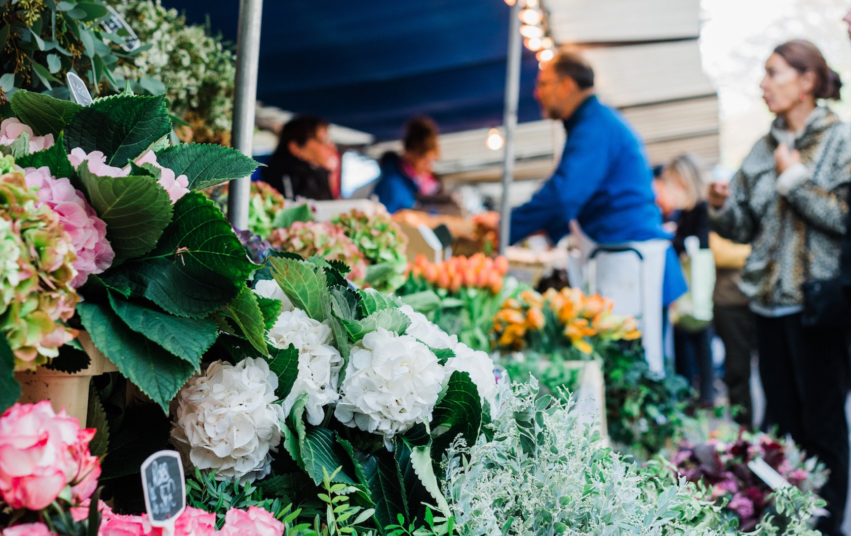 Market Tours and Cooking Classes: Culinary Experiences in Paris with Chef Brian DeFehr by Paris Perfect