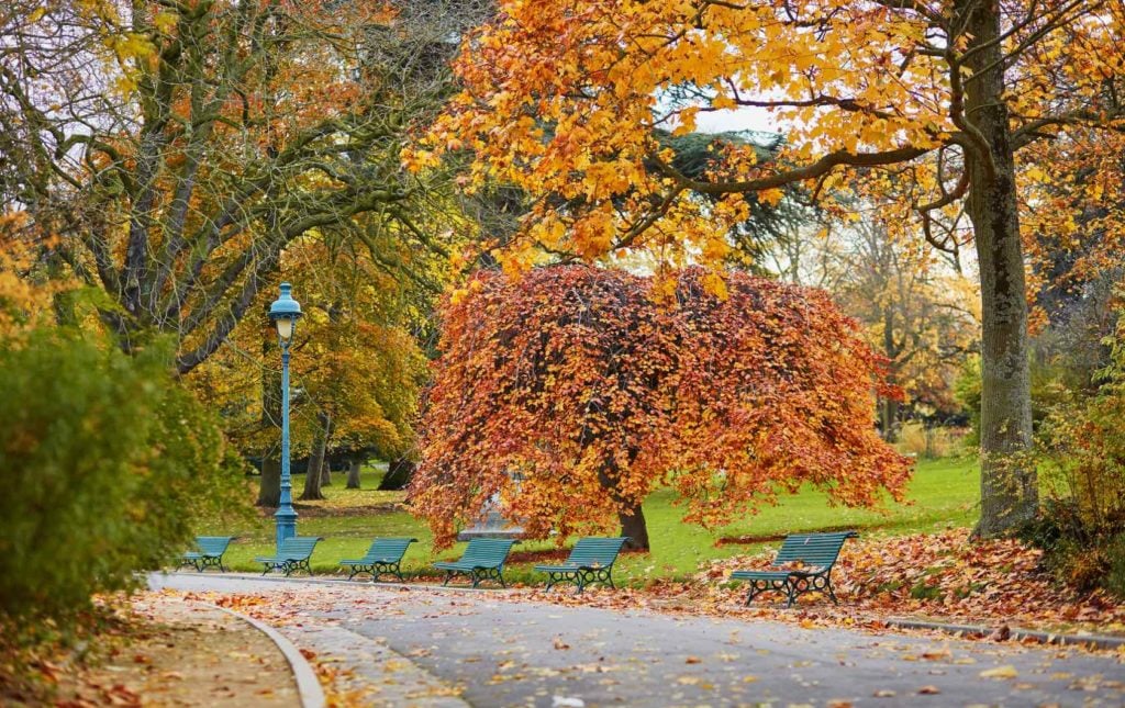 5 Places to see Fall Foliage in Paris by Paris Perfect park in the autumn