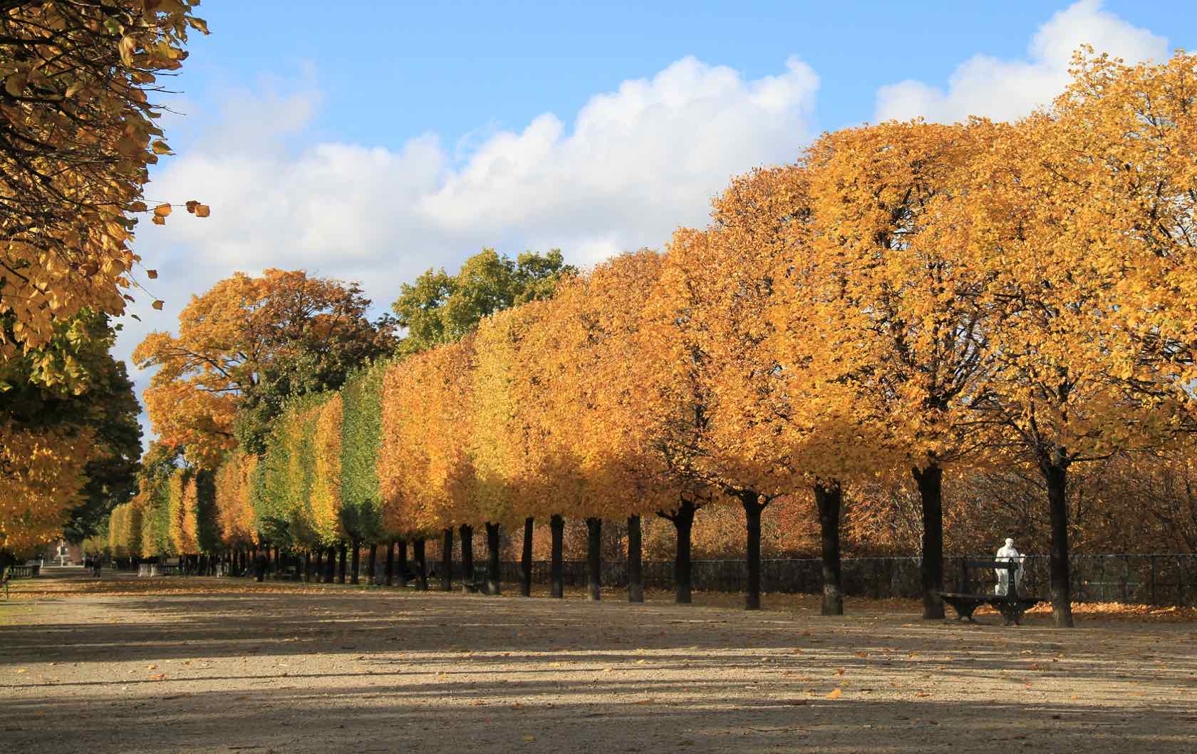 5 Places to see Fall Foliage in Paris by Paris Perfect Tuileries Gardens