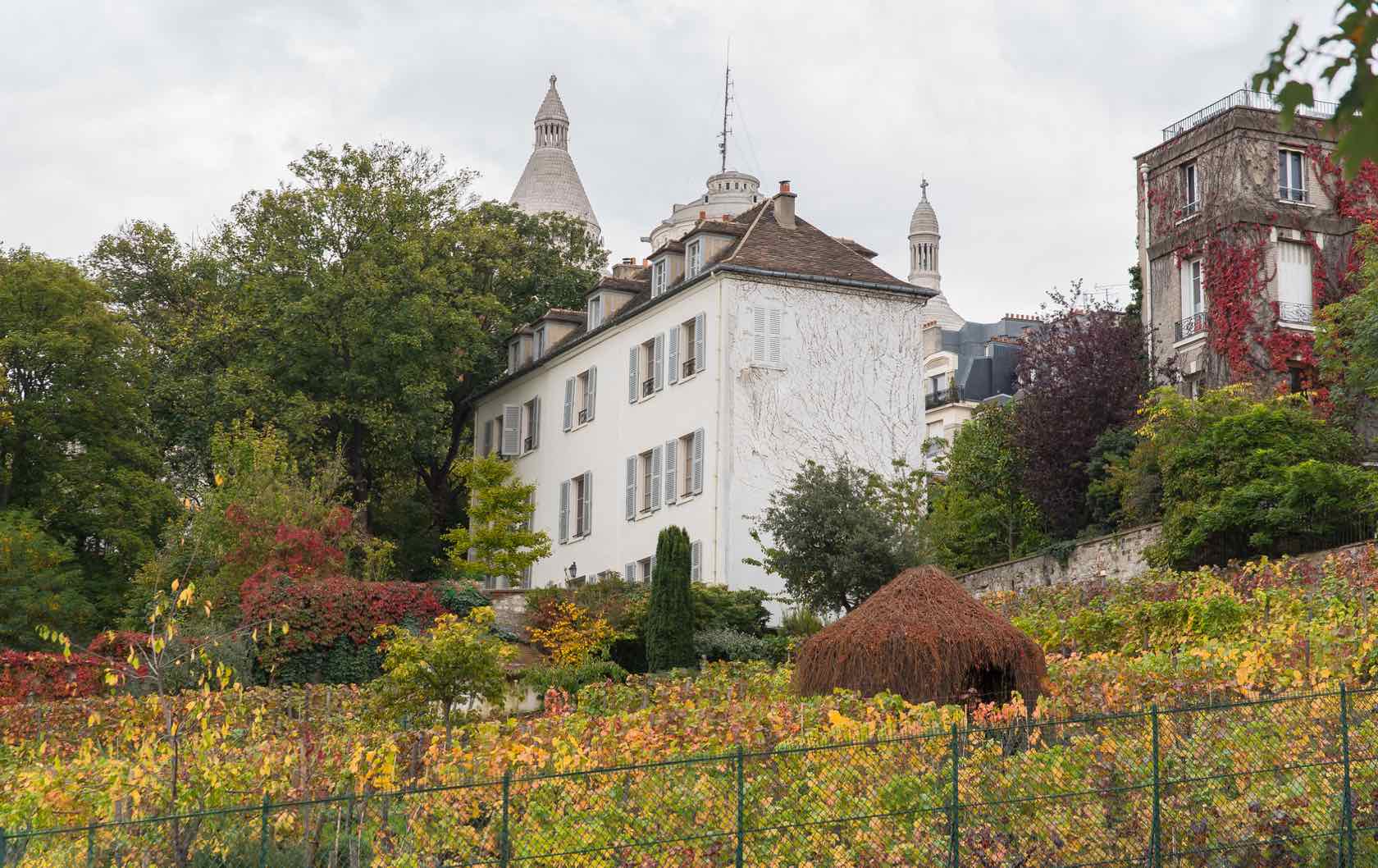 5 Places to see Fall Foliage in Paris by Paris Perfect Montmartre Vineyard