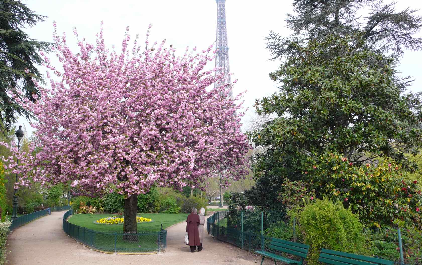 10 of the Best Places to Picnic in Paris by Paris Perfect Champ de Mars