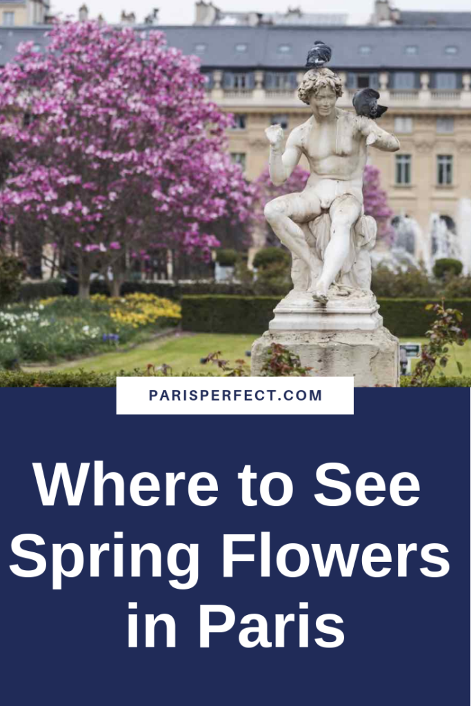 Where to See Spring Flowers in Paris