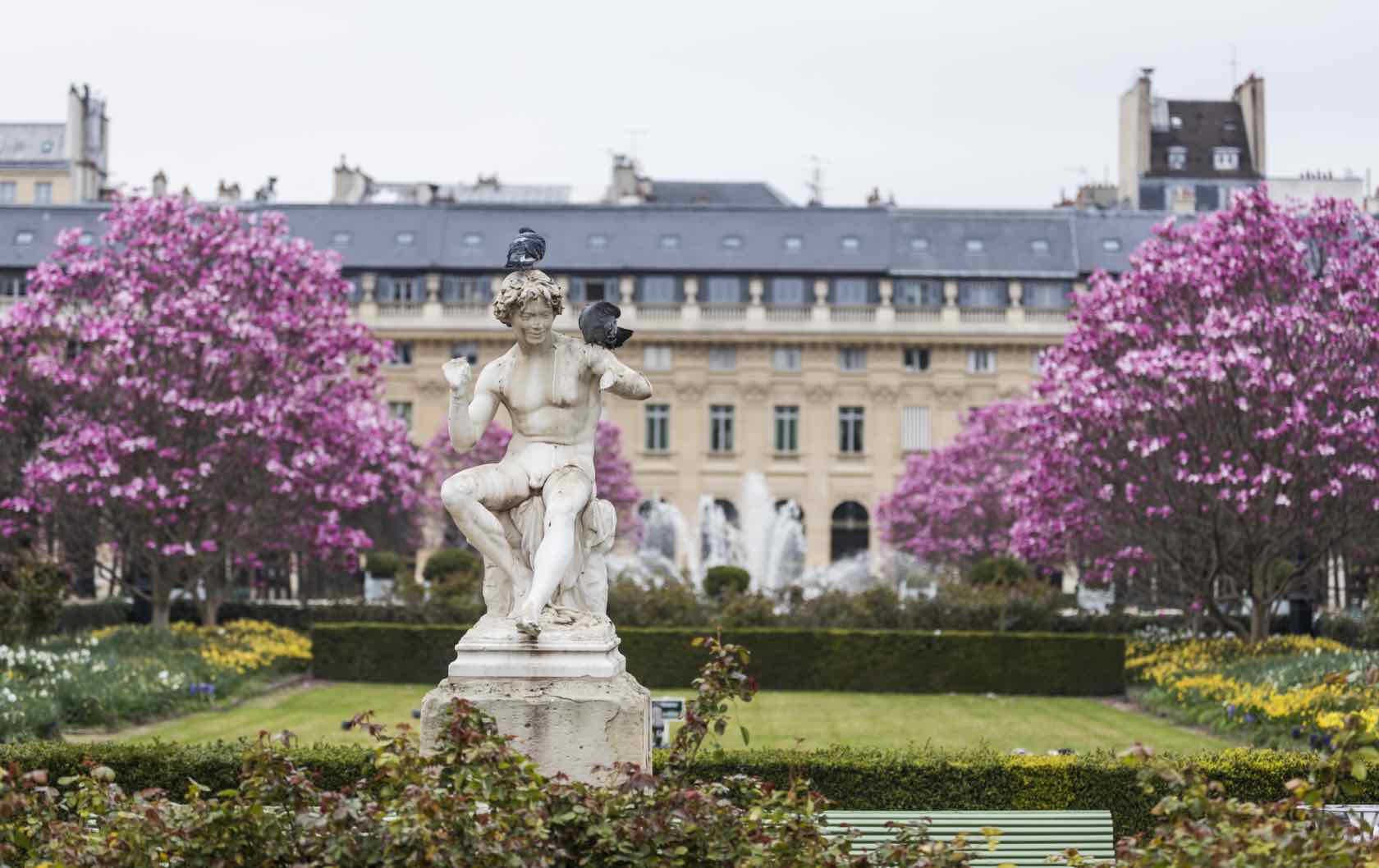 Where to See Spring Flowers in Paris by Paris Perfect Palais Royal Spring