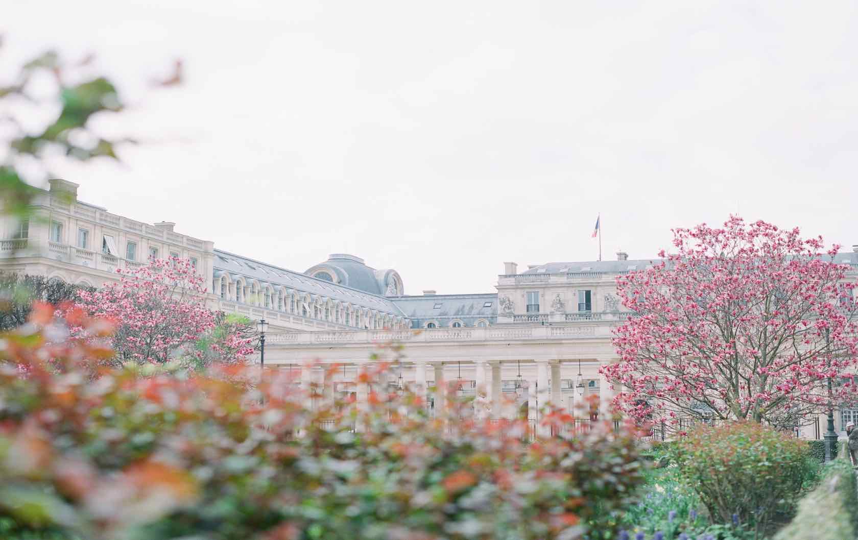 Palais-Royal Spring Paris Perfect