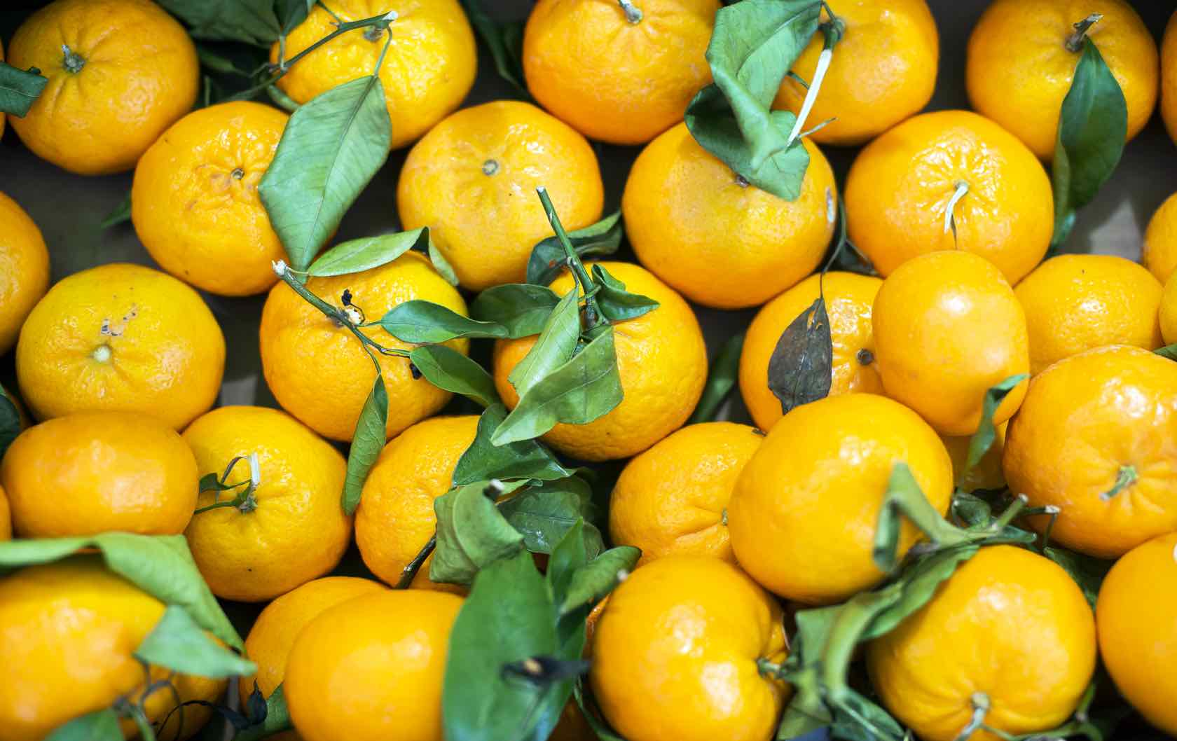 Oranges Market Paris