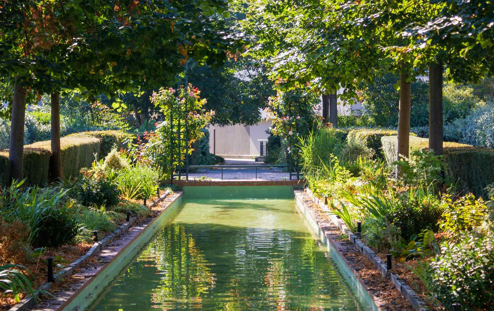 Summer Walks in Paris 