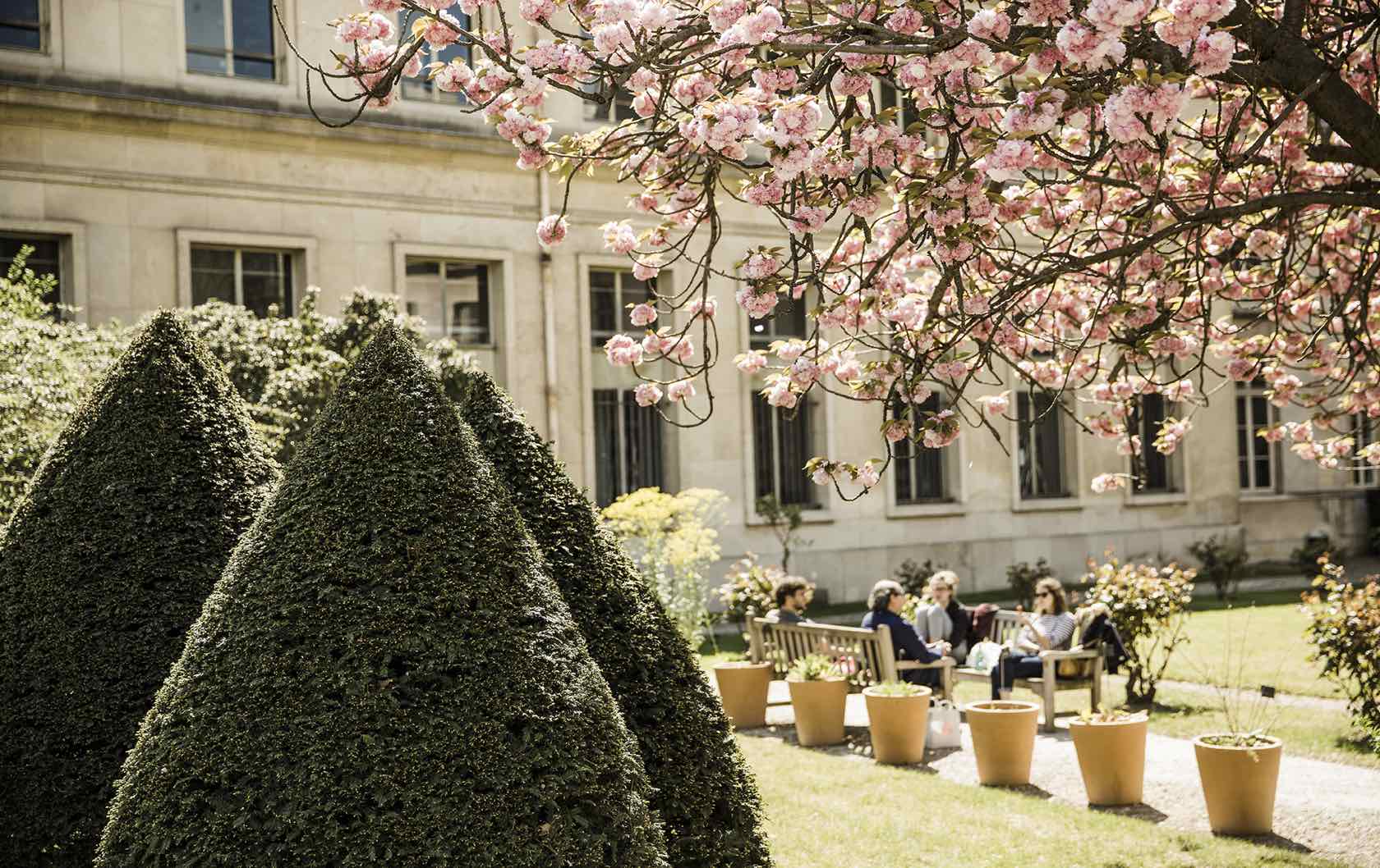 Petit Palais Insta-Famous Spots in Paris by Paris Perfect