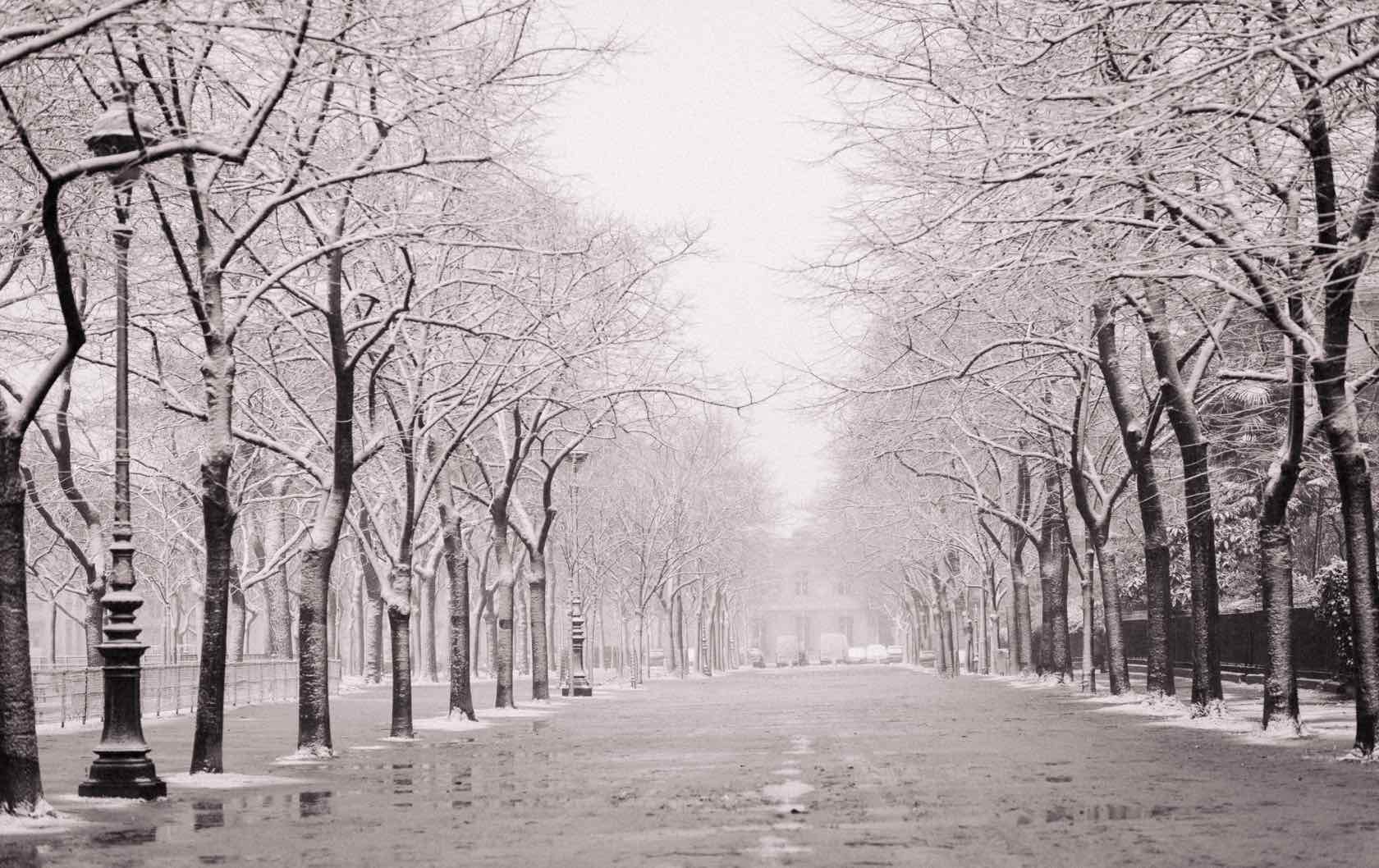 Winter in Paris Champ de Mars