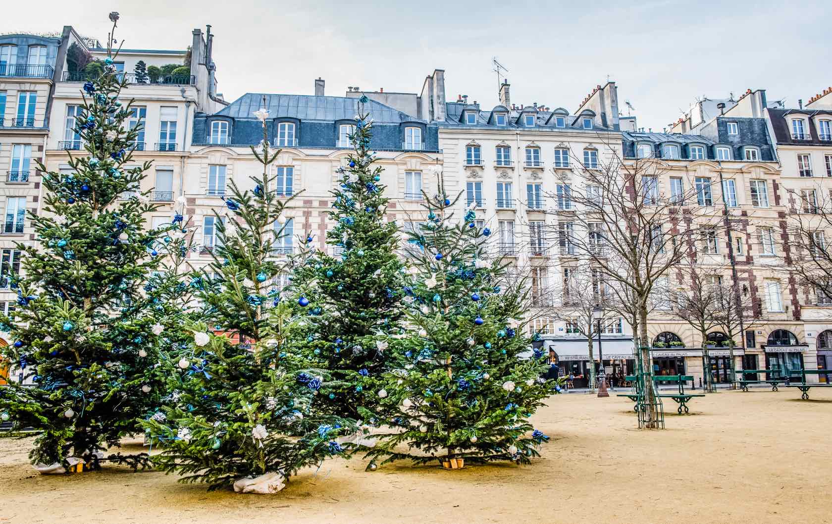 A Guide to Christmas in Paris Place Dauphine Trees